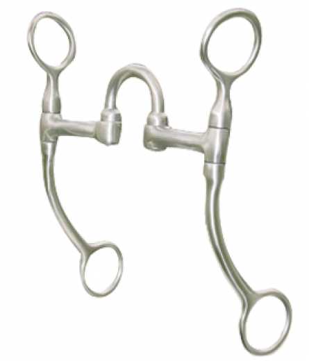FG SS Training Correction Bit