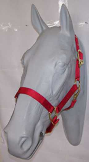 Original Hamilton Halfter Warmblut / Quarterhorse
