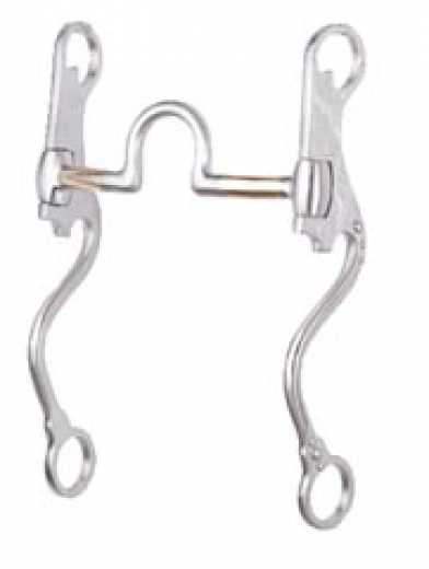 FG Fixed Correction Bit