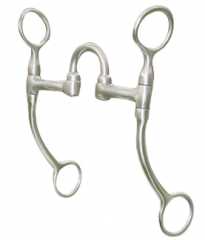 FG SS Training Correction Bit