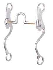 FG Fixed Correction Bit