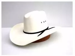 Westernhüte Westernhüte