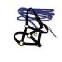 Halfter & Stricke Halfter & Stricke