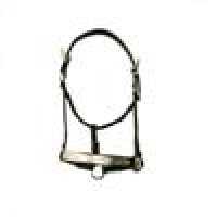 Showhalfter Showhalfter