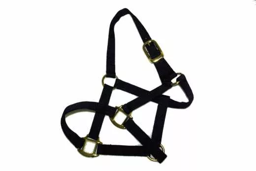 Deluxe Pferde Halfter in drei Größen Deluxe Pferde Halfter in drei Größen