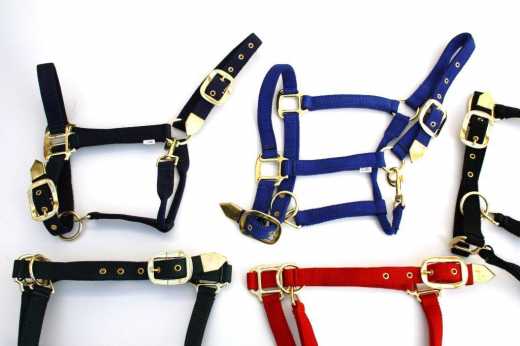 Deluxe Pferde Halfter in drei Größen