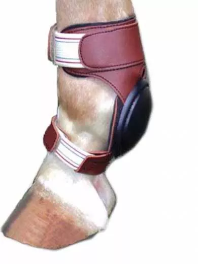 F.G.Skid Boots Western Gamaschen für die Hinterbeine