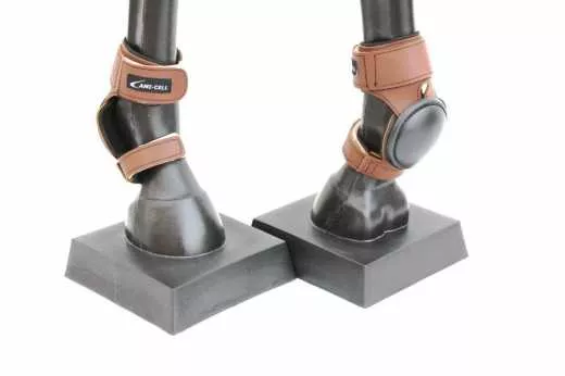 F.G.Skid Boots Western Gamaschen für die Hinterbeine