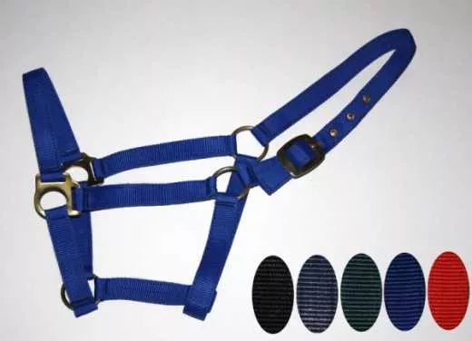 Professional Halfter verschiedene Farben & Größen Professional Halfter verschiedene Farben & Größen