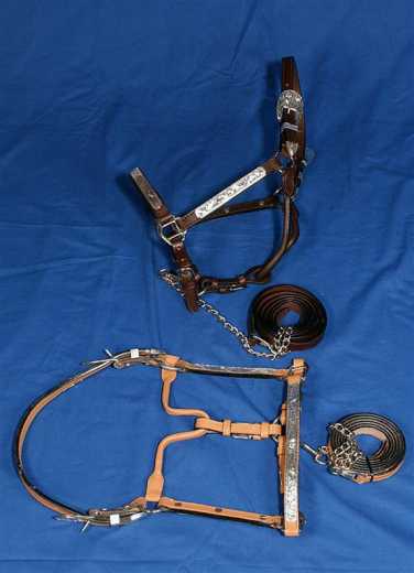 Western Show Halfter mit Silberbeschlag Showmanship dunkelbraun