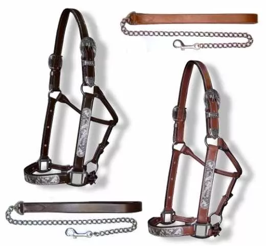Western Show Halfter mit Silberbeschlag Showmanship dunkelbraun