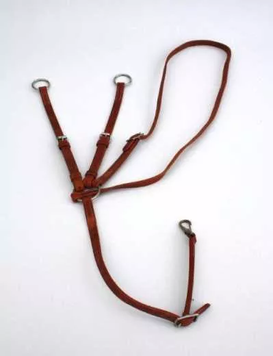 Running Martingal aus Harnessleder