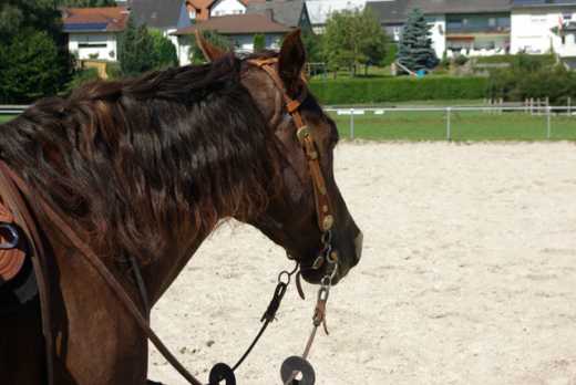 F.G. DH Short Shank Baby Correction Bit