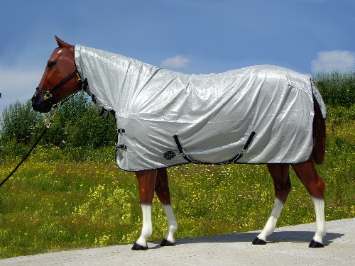 Fliegendecke / Ekzemerdecke mit Halsteil