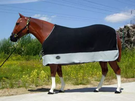 Abschwitzdecke Topscore schwarz