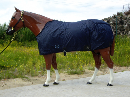 Sommerdecke Topscore blau