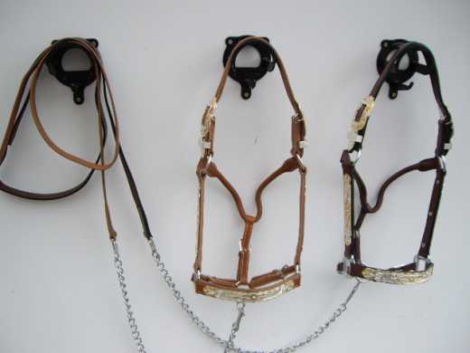 Premium Western Showhalfter mit Silber Beschlägen und Steinchen Premium Western Showhalfter mit Silber Beschlägen und Steinchen