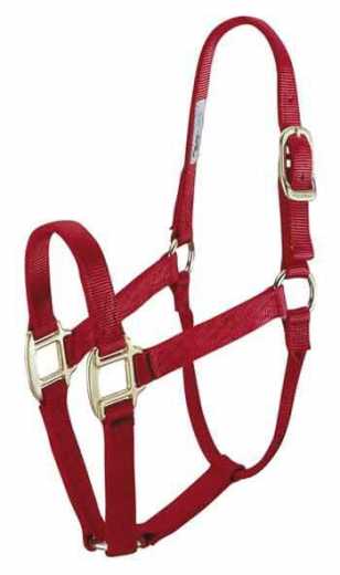 Hamilton Halfter Restposten div. Farben und Größen Hamilton Halfter Restposten div. Farben und Größen