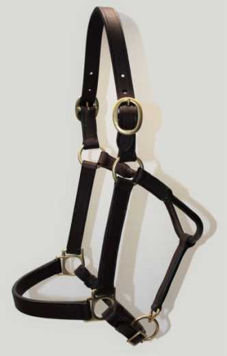 EE Tack Lederhalfter Größe COB