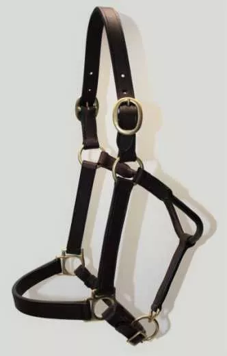 EE Tack Lederhalfter Größe COB