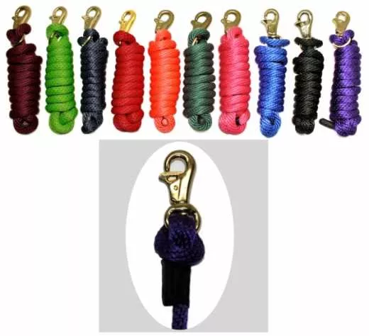 Poly Führstrick mit Triggersnap