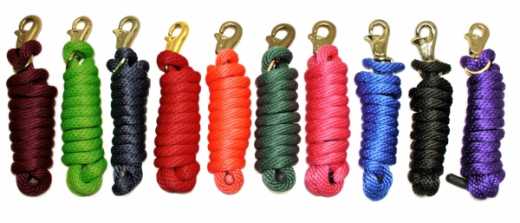 Poly Führstrick mit Triggersnap