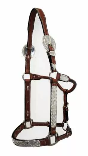 EE TACK Western Show Halfter mit Silber Größe COB Typ 1 EE TACK Western Show Halfter mit Silber Größe COB Typ 1
