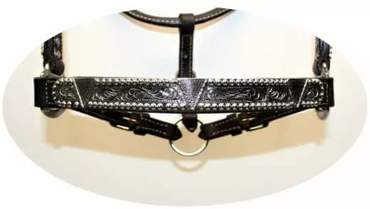 EE TACK Western Show Halfter mit Silber Größe COB Typ 2