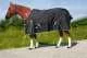 Tough Horse Turnout Winterdecke 300g 1200D