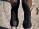 FG Lamicell Ventex 22 Ultimate Knee Boots Gr. M