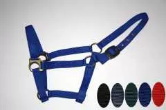 Professional Halfter verschiedene Farben & Größen