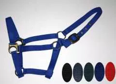 Professional Halfter verschiedene Farben & Größen