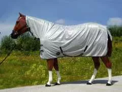 Fliegendecke / Ekzemerdecke mit Halsteil