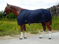 Sommerdecke Topscore blau