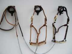 Premium Western Showhalfter mit Silber Beschlägen und Steinchen