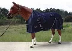 Top Score Multifunktions Sommerdecke mit Abschwitzfunktion