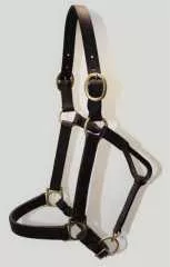 EE Tack Lederhalfter Größe COB